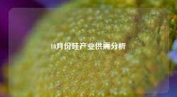 10月份硅产业供需分析