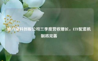 逾六成科创板公司三季度营收增长，ETF配套机制将完善