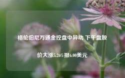 格伦伯尼万通金控盘中异动 下午盘股价大涨5.26%报6.00美元