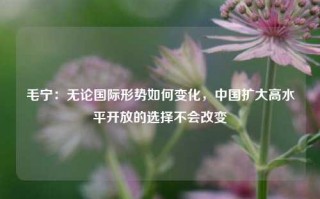 毛宁：无论国际形势如何变化，中国扩大高水平开放的选择不会改变