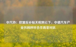 中汽协：欧盟反补贴关税阴云下，中德汽车产业共同呼吁合作而非对抗