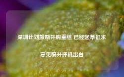 深圳计划鼓励并购重组 已经起草征求意见稿并择机出台