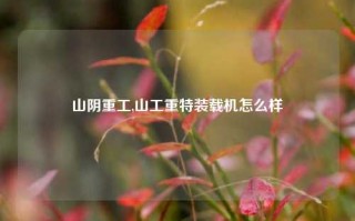 山阴重工,山工重特装载机怎么样