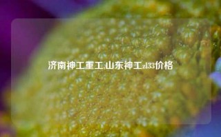 济南神工重工,山东神工zl33价格