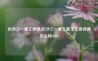 长沙三一重工待遇,长沙三一重工普工工资待遇怎么样2019