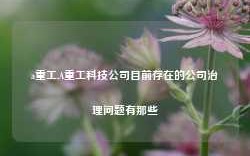 a重工,A重工科技公司目前存在的公司治理问题有那些