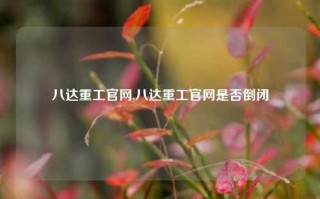 八达重工官网,八达重工官网是否倒闭