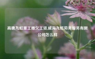 高唐九虹重工拖欠工资,威海九虹劳务服务有限公司怎么样