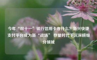 今年“双十一”银行信用卡卷什么？新兴快捷支付平台成为新“战场” 存量时代下沉深耕细分领域