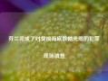 芬兰完成了对受损海底数据光缆的犯罪现场调查