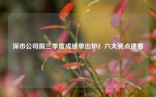 深市公司前三季度成绩单出炉！六大亮点速看→