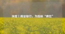 深度丨商业银行，为指标“疯狂”