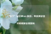 “吞下”诚芯微100%股份，希荻微欲借并购破解业绩困局