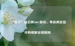 “吞下”诚芯微100%股份，希荻微欲借并购破解业绩困局