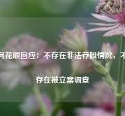 同花顺回应：不存在非法荐股情况，不存在被立案调查