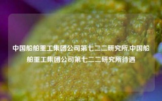 中国船舶重工集团公司第七二二研究所,中国船舶重工集团公司第七二二研究所待遇