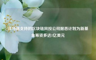 淡马锡支持的区块链风投公司据悉计划为新基金筹资多达1亿美元