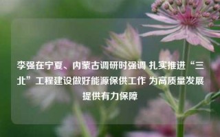 李强在宁夏、内蒙古调研时强调 扎实推进“三北”工程建设做好能源保供工作 为高质量发展提供有力保障