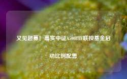 又见超募！嘉实中证A500ETF联接基金启动比例配售