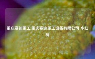 重庆赛迪重工,重庆赛迪重工设备有限公司 本红梅