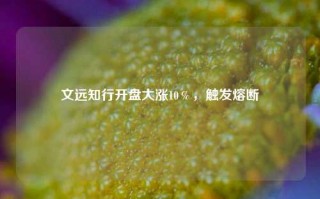 文远知行开盘大涨10％，触发熔断