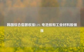 韩国综合指数收涨1.1% 电池股和工业材料股领涨