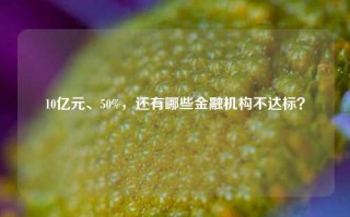 10亿元、50%，还有哪些金融机构不达标？