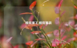 楼房重工,楼房重装