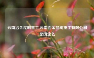 云南冶金昆明重工,云南冶金昆明重工有限公司是国企么