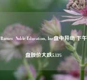 Barnes  Noble Education, Inc盘中异动 下午盘股价大跌5.13%