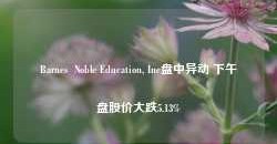 Barnes  Noble Education, Inc盘中异动 下午盘股价大跌5.13%