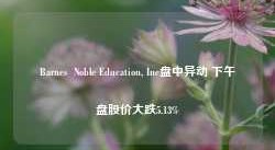 Barnes  Noble Education, Inc盘中异动 下午盘股价大跌5.13%