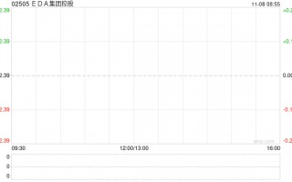 EDA集团控股11月7日发行299.05万股新股