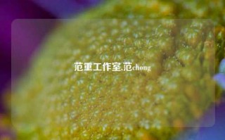 范重工作室,范chong