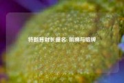 特朗普财长提名: 明牌与暗牌