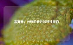 蒉莺春：分裂的硅谷和科技留白