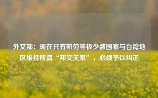 外交部：现在只有帕劳等极少数国家与台湾地区维持所谓“邦交关系”，必须予以纠正