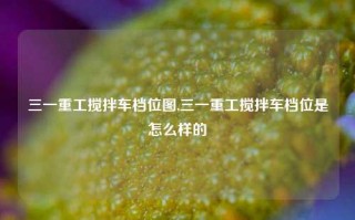 三一重工搅拌车档位图,三一重工搅拌车档位是怎么样的