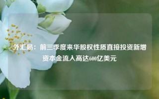 外汇局：前三季度来华股权性质直接投资新增资本金流入高达600亿美元