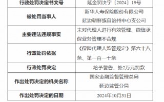 新华保险延边朝鲜族自治州中心支公司被罚：因未对代理人进行有效管理 微信承保业务管理不合规