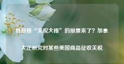 特朗普“关税大棒”的报复来了？加拿大正研究对某些美国商品征收关税