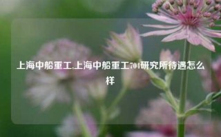 上海中船重工,上海中船重工704研究所待遇怎么样