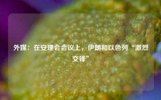 外媒：在安理会会议上，伊朗和以色列“激烈交锋”