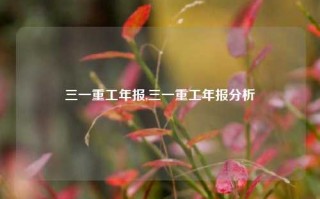 三一重工年报,三一重工年报分析