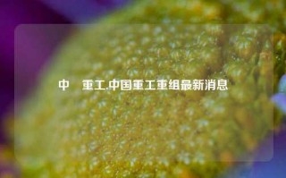 中國重工,中国重工重组最新消息