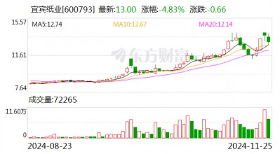 宜宾纸业：子公司拟投建两项目 项目总投资合计5.4亿元