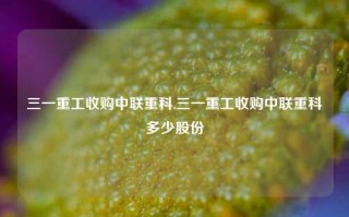 三一重工收购中联重科,三一重工收购中联重科多少股份