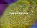 知名经济学家最新发声