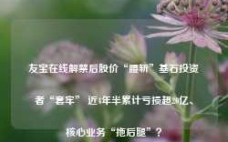 友宝在线解禁后股价“腰斩”基石投资者“套牢” 近4年半累计亏损超20亿、核心业务“拖后腿”？