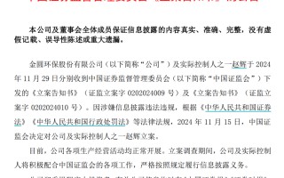 金圆股份及其实际控制人之一赵辉，被证监会立案